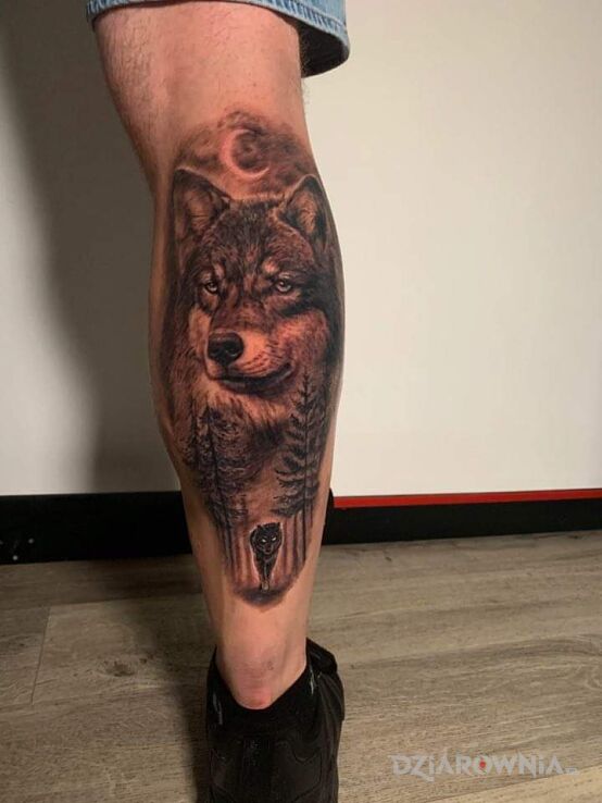 Tatuaż wilk w motywie zwierzęta na łydce