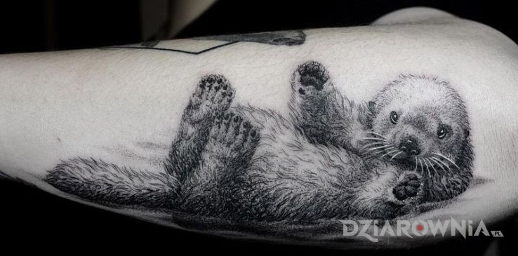 Tatuaż slodki zwierzaczek w motywie zwierzęta na przedramieniu