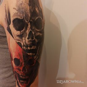 Tatuaż "Czaszki" początek projektu na cały Rękaw na ręce motyw: czarno-szare styl: realistyczne