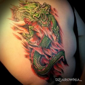 Tatuaż Zielony smok na plecach motyw: znaki zodiaku styl: japońskie / irezumi