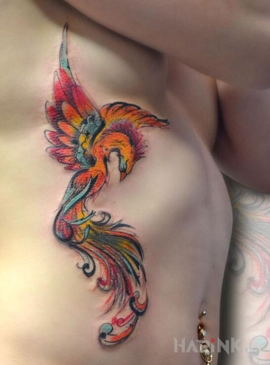 Tattoo Kolorowy feniks in animals motif on the ribs