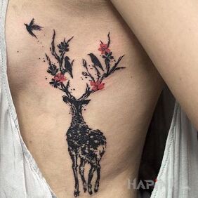 Tattoo Deer with interesting antlers on the ribs motif: black and gray style: graphic / illustrative