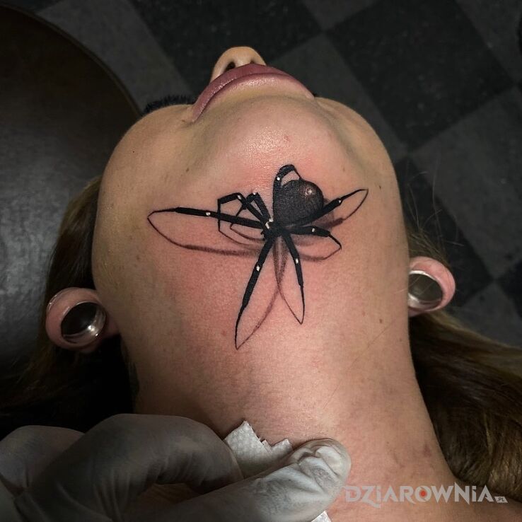 Tatuaż taki mały pajączek w motywie zwierzęta i stylu realistyczne na gardle