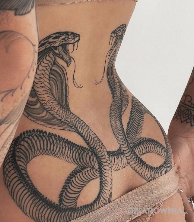 Tatuaż dwie kobry w motywie czarno-szare i stylu realistyczne na plecach