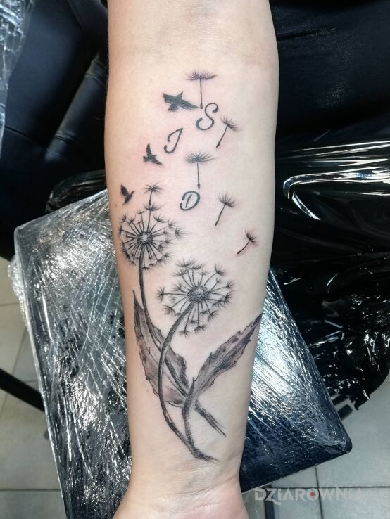 Tatuaż dmuchawce w motywie kwiaty i stylu graficzne / ilustracyjne na przedramieniu