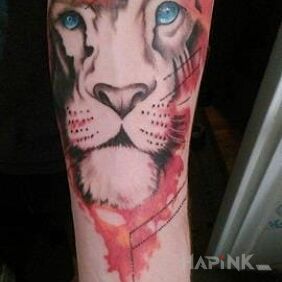 Tattoo Lion. Inscription done much earlier on the forearm motif: animals style: Watercolor