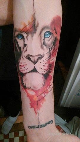 Tatuaż lew napis robiony dużo wcześniej w motywie kolorowe i stylu watercolor na przedramieniu