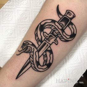 Tattoo Snake / Knife on the forearm motif: animals style: oldschool