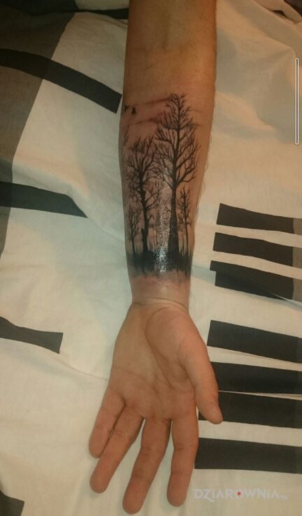 Tatuaż ciemny las w motywie mroczne i stylu blackwork / blackout na przedramieniu