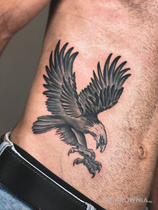 Tatuaż przekrycie starego tatuażu w motywie zwierzęta i stylu blackwork / blackout na brzuchu