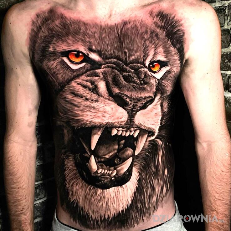 Tatuaż lew gigant w motywie czarno-szare i stylu realistyczne na brzuchu
