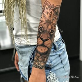 Tatuaż Lwica na ręce motyw: czarno-szare styl: realistyczne
