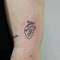 Wycena tatuażu - Tatuaż serce ludzkie