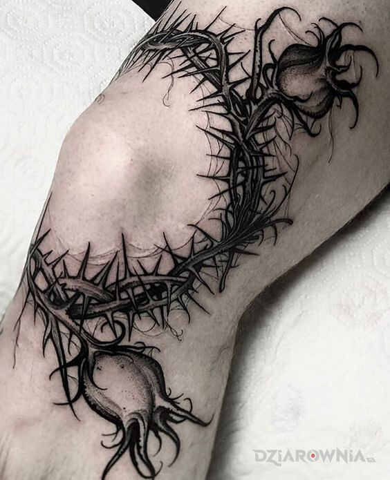 Tatuaż ciernie i pęki w motywie czarno-szare i stylu graficzne / ilustracyjne na kolanie