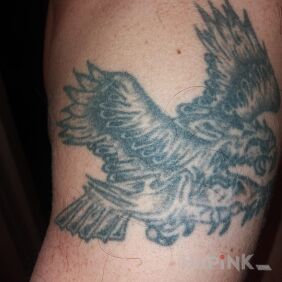 Tattoo Eagle on the upper arm motif: animals