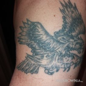 Tatuaż Orzeł na ramieniu motyw: zwierzęta