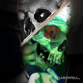 Skull green 2