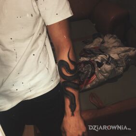Tatuaż Wąż na przedramieniu na ręce motyw: zwierzęta styl: realistyczne