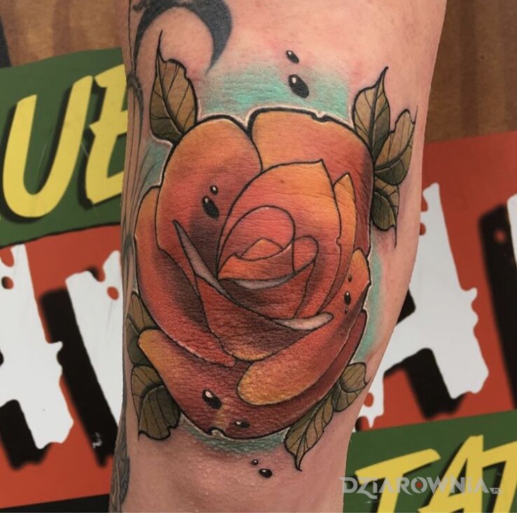 Tatuaż róża w motywie florystyczne i stylu neotradycyjne na kolanie