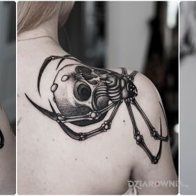 Tatuaż Czaszka / Pająk na łopatkach motyw: czaszki styl: dotwork