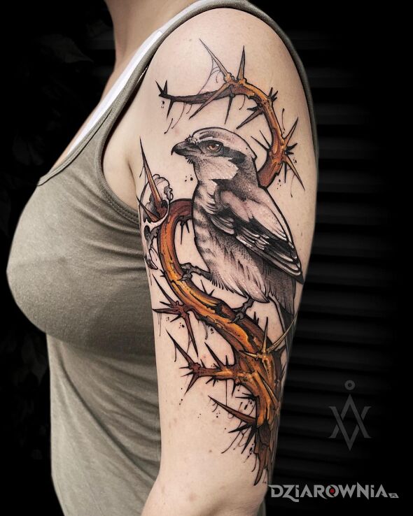 Tatuaż dzierzba w interpretacji avi w motywie zwierzęta i stylu graficzne / ilustracyjne na ręce