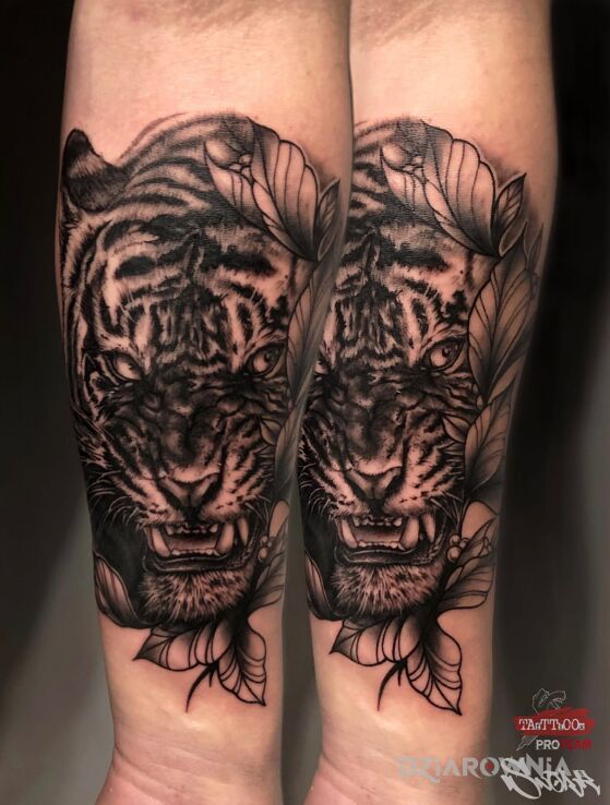 Tatuaż tygrys w motywie zwierzęta i stylu realistyczne na przedramieniu