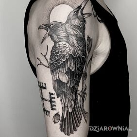 Tatuaż Dwugłowy kruk na ramieniu motyw: zwierzęta styl: graficzne / ilustracyjne