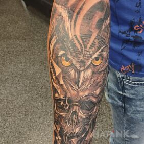 Tattoo Owl, skull On the arm motif: animals style: realistic