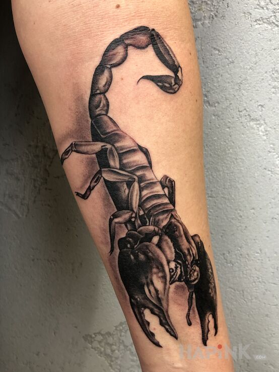 Tattoo Tatuaż skorpiona dla Pani in animals motif and realistic style On the arm