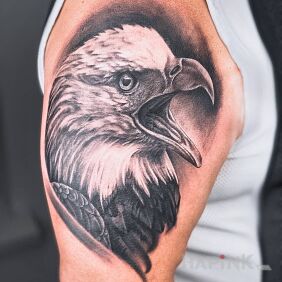 Tattoo Eagle tattoo on the upper arm motif: black and gray style: realistic
