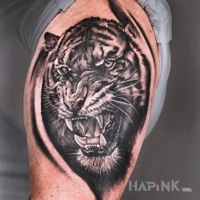 Tattoo Tiger on the upper arm motif: black and gray style: realistic