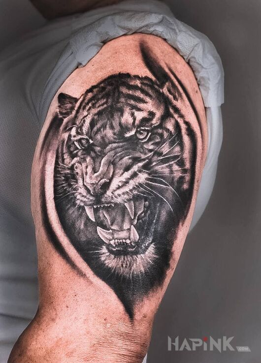Tattoo Tiger in black and gray motif and realistic style on the upper arm