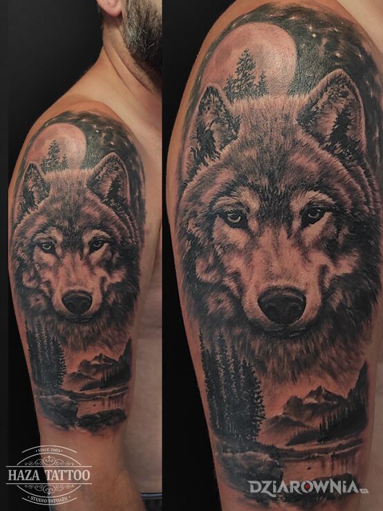 Tatuaż wilk góry krajobraz w motywie pozostałe i stylu realistyczne na ramieniu