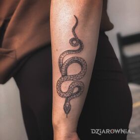 Tatuaż The snake na przedramieniu motyw: zwierzęta styl: graficzne / ilustracyjne