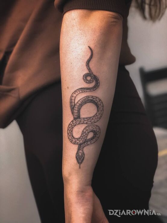 Tatuaż the snake w motywie mroczne i stylu blackwork / blackout na przedramieniu