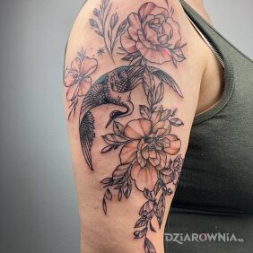 Tatuaż Flowers and bird na ramieniu motyw: kolorowe styl: kontury / linework