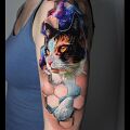 Wycena tatuażu - Wycena realistycznego kota w kolorze