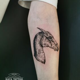 Tattoo Skeletal horse On the arm motif: animals style: realistic