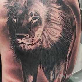 Tattoo Kitty :) on the upper arm motif: black and gray style: realistic