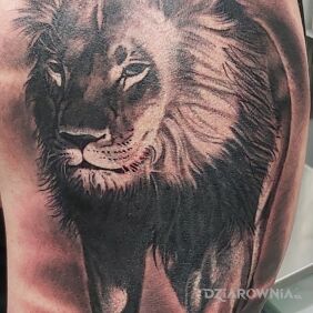Tatuaż Kotek :) na ramieniu motyw: znaki zodiaku styl: realistyczne