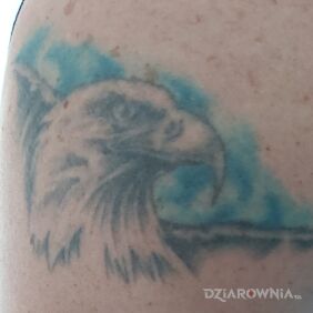 Tatuaż Orzełek na ramieniu motyw: czarno-szare styl: realistyczne