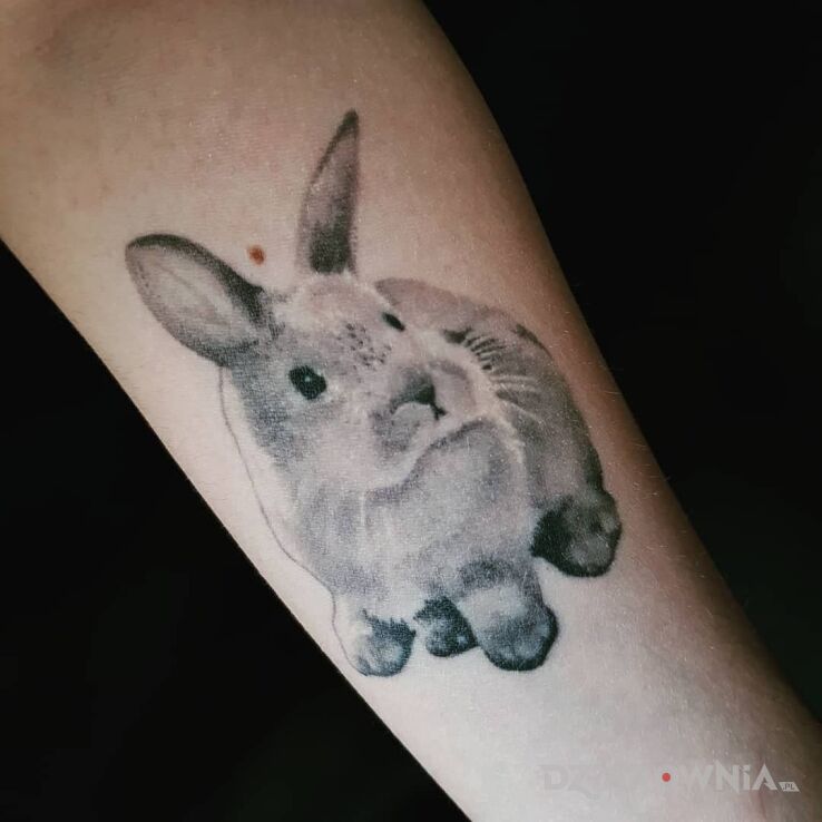 Tatuaż realistyczny króliczek w motywie skrzydła i stylu graficzne / ilustracyjne na ramieniu