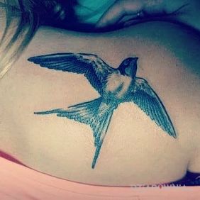 Tatuaż Jaskółeczka :) na łopatkach motyw: seksowne