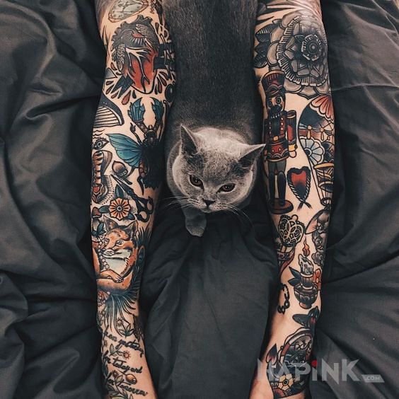 Tattoo Kociamber in colorful motif and oldschool style on the knee