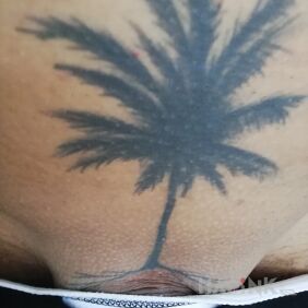 Tattoo Palm tree intimate motif: black and gray style: blackwork / blackout