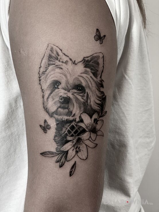 Tatuaż pies  pupil  przyjaciel w motywie zwierzęta i stylu graficzne / ilustracyjne na ramieniu