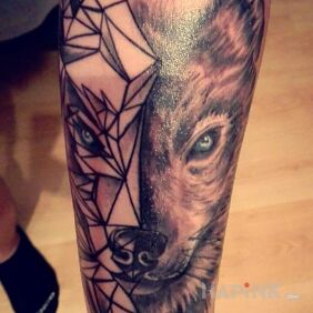 Tattoo Two faces of the wolf on the forearm motif: animals