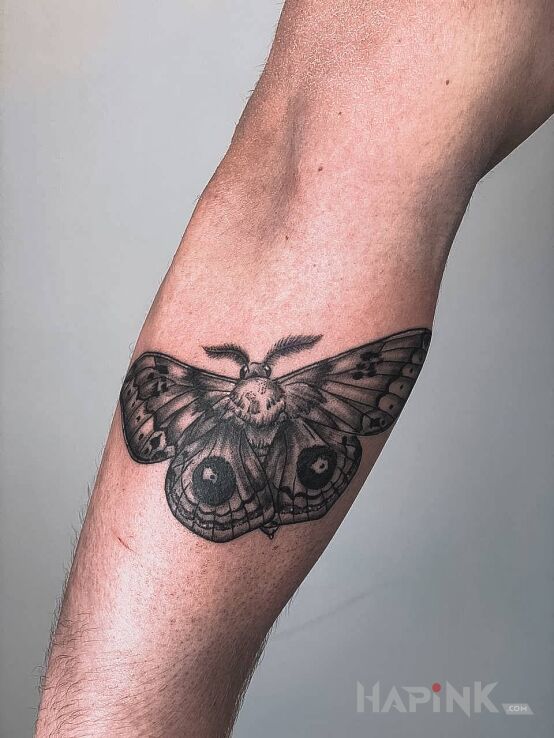 Tattoo Natural Butterfly in butterflies motif and realistic style on the forearm