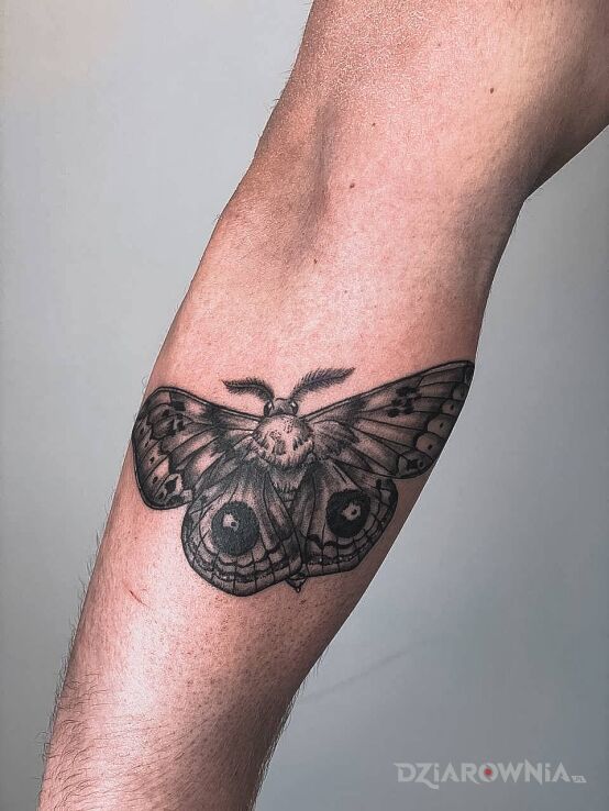 Tatuaż natural butterfly w motywie motyle i stylu realistyczne na przedramieniu