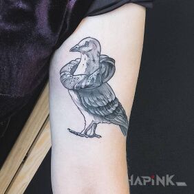 Tattoo Pigeon on the bicep motif: black and gray style: graphic / illustrative
